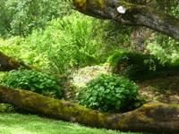 Ninfagarten &ndash; &copy; Grit Wendelberger (Eberhardt TRAVEL)