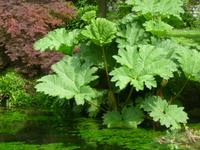 Ninfagarten &ndash; &copy; Grit Wendelberger (Eberhardt TRAVEL)