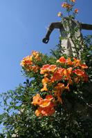 &copy; Helen Krippner (Eberhardt TRAVEL)