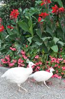 &copy; Helen Krippner (Eberhardt TRAVEL)