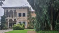 Kaschmirzypresse und Palazzo auf der Isola Madre.jpg &ndash; &copy; Marlies Thrum (Eberhardt TRAVEL)