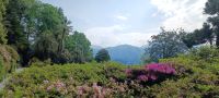 Villa Carlotta -Azaleengarten &ndash; &copy; Ute Solf (Eberhardt TRAVEL)