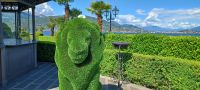 Hotel Dino -Garten &ndash; &copy; Ute Solf (Eberhardt TRAVEL)