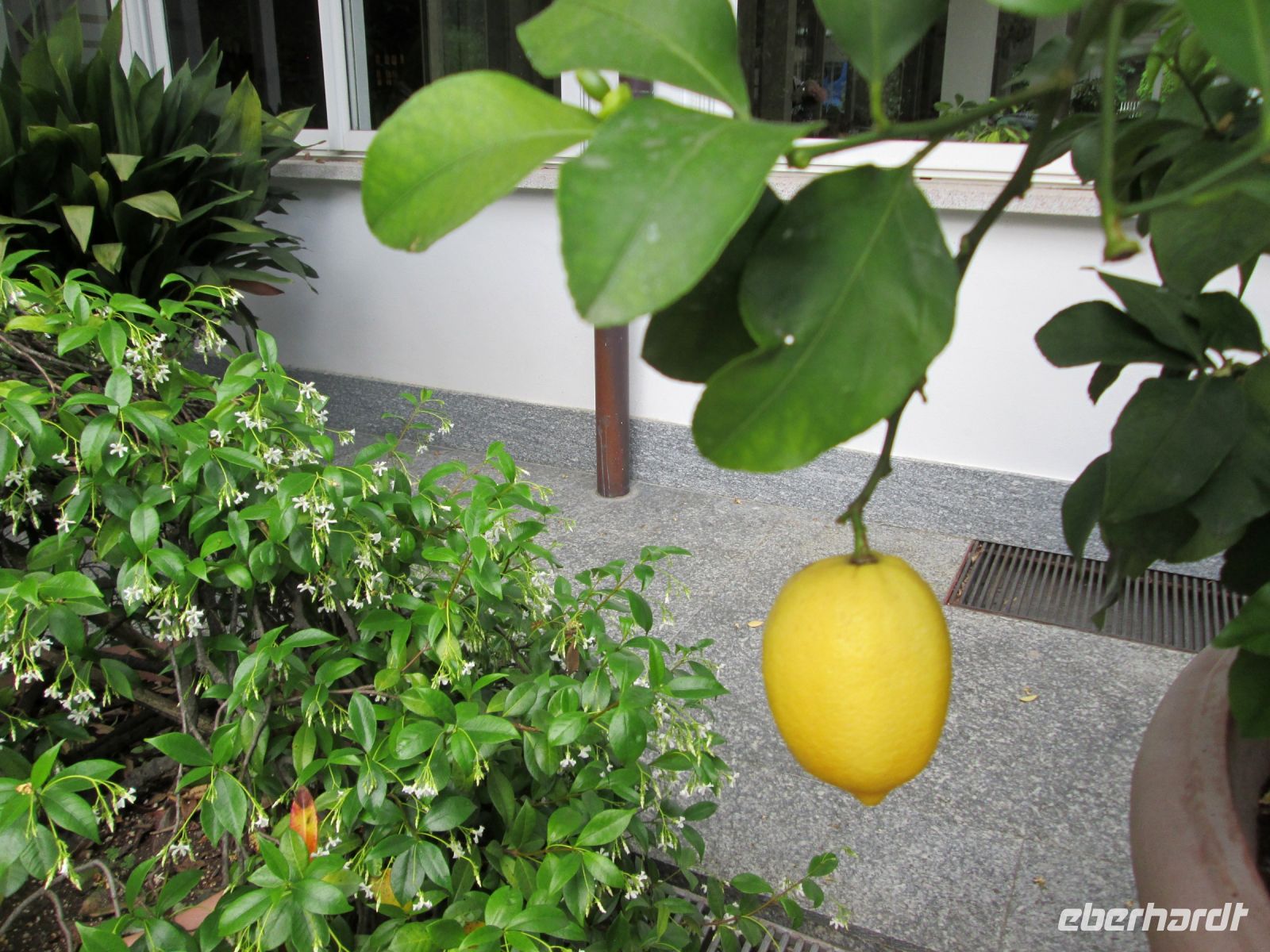 im Garten des Hotel Royal &ndash; &copy; Heike Heinen (Eberhardt TRAVEL)