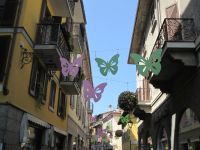 Arona &ndash; &copy; Heike Heinen (Eberhardt TRAVEL)