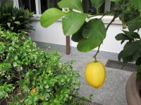 im Garten des Hotel Royal &ndash; &copy; Heike Heinen (Eberhardt TRAVEL)