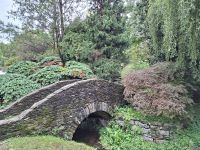 Verbania (Garten der Villa Taranto)