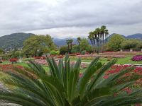Verbania (Garten der Villa Taranto)