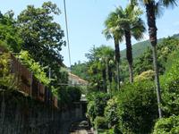 Locarno  &ndash; &copy; Petra Sauer (Eberhardt TRAVEL)