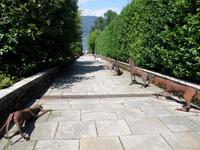...und Hunde &ndash; &copy; Petra Sauer (Eberhardt TRAVEL)