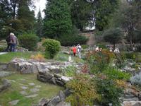 Besuch im botanischen Garten Alpina am Mottarone