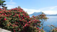 Isola Bella &ndash; &copy; Petra Sauer (Eberhardt TRAVEL)