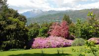 Isola Madre &ndash; &copy; Petra Sauer (Eberhardt TRAVEL)