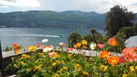 Isola Madre &ndash; &copy; Petra Sauer (Eberhardt TRAVEL)