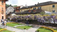 Orta  &ndash; &copy; Petra Sauer (Eberhardt TRAVEL)
