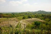 23.04.2015 Weinfelder um Arona &ndash; &copy; Jutta Petzold-Herrmann (Eberhardt TRAVEL)