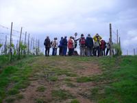 Weingut Podere ai Valloni &ndash; &copy; Norbert Binder (Eberhardt TRAVEL)