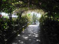ISOLA MADRE &ndash; &copy; Norbert Binder (Eberhardt TRAVEL)
