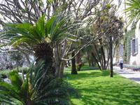 ISOLA MADRE &ndash; &copy; Norbert Binder (Eberhardt TRAVEL)