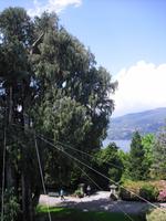 ISOLA MADRE &ndash; &copy; Norbert Binder (Eberhardt TRAVEL)