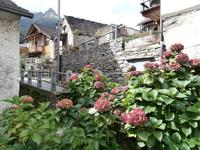 Verzascatal-Sonogno