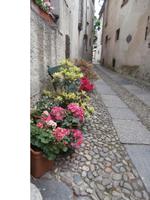 Orta San Giulio &ndash; &copy; Ingrid Langer (Eberhardt TRAVEL)