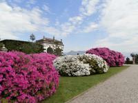 Isola Bella &ndash; &copy; Ingrid Langer (Eberhardt TRAVEL)