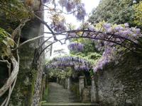 Isola Madre &ndash; &copy; Ingrid Langer (Eberhardt TRAVEL)