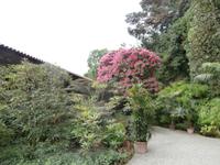Isola Madre &ndash; &copy; Ingrid Langer (Eberhardt TRAVEL)