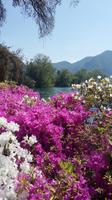 Lugano &ndash; &copy; Ingrid Langer (Eberhardt TRAVEL)