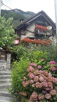 Verzascatal Sonogno &ndash; &copy; Ingrid Langer (Eberhardt TRAVEL)