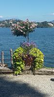 Isola Madre &ndash; &copy; Ingrid Langer (Eberhardt TRAVEL)