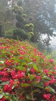 Lugano  &ndash; &copy; Ingrid Langer (Eberhardt TRAVEL)