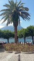 Bellagio &ndash; &copy; Ingrid Langer (Eberhardt TRAVEL)