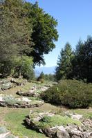im Alpina-Garten &ndash; &copy; Sylvia Ott (Eberhardt TRAVEL)