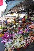 Wochenmarkt (Intra-Verbania) &ndash; &copy; Sylvia Ott (Eberhardt TRAVEL)