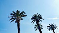 &copy; Vanessa van Dam (Eberhardt TRAVEL)