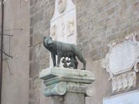 IMG_2356