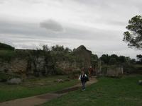 IMG_2424