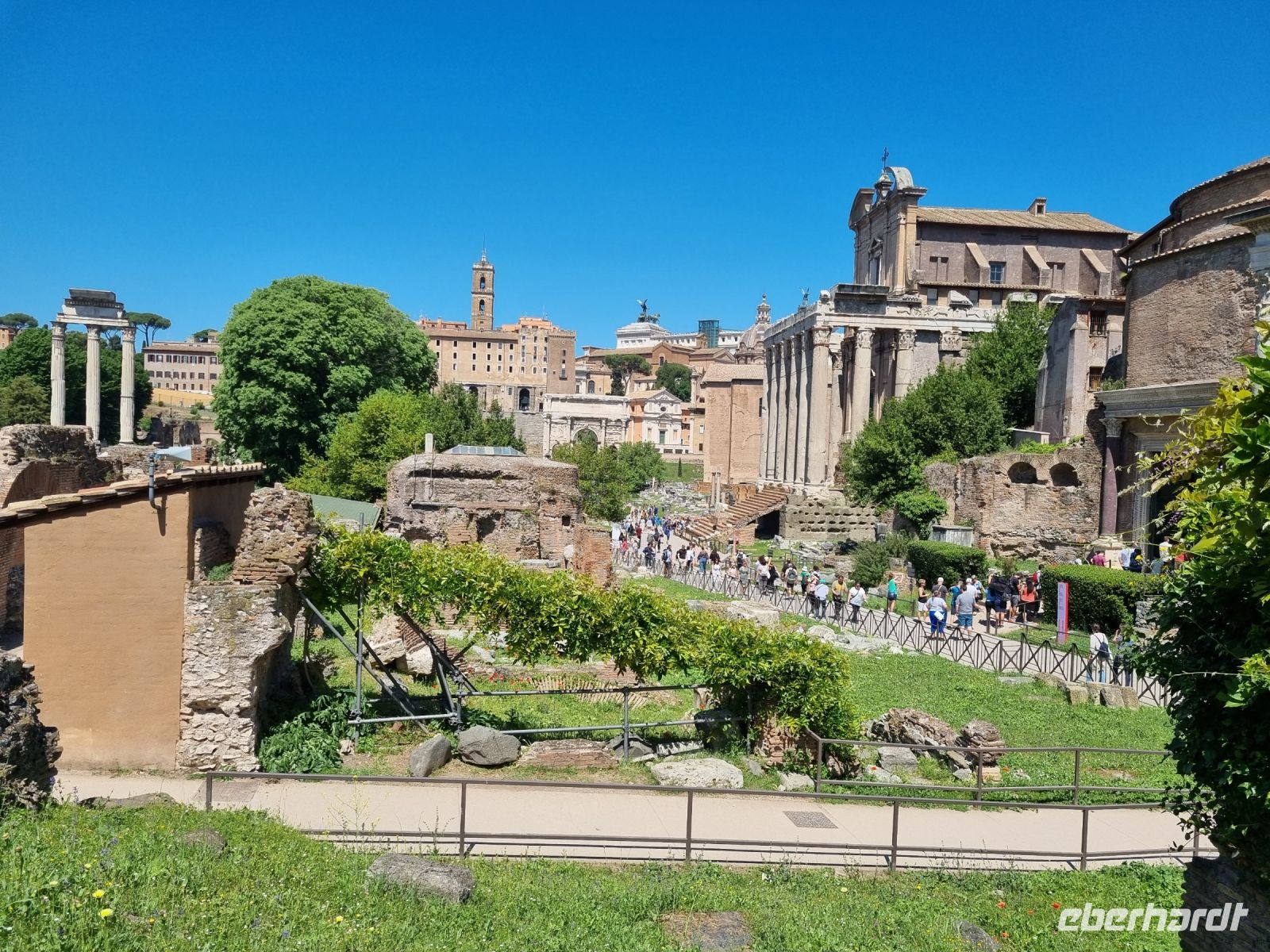 Rom - Forum Romanum  &ndash; &copy; Katrin Deutschbein (Eberhardt TRAVEL)