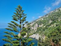 Amalfiküste  &ndash; &copy; Katrin Deutschbein (Eberhardt TRAVEL)