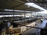 Büffelfarm Vannulo &ndash; &copy; Katrin Deutschbein (Eberhardt TRAVEL)