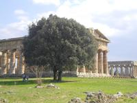 Paestum &ndash; &copy; Katrin Deutschbein (Eberhardt TRAVEL)