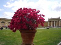 Vatikanische Museen &ndash; &copy; Katrin Deutschbein (Eberhardt TRAVEL)