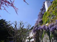 Augustusgarten &ndash; &copy; Katrin Deutschbein (Eberhardt TRAVEL)