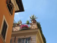 Rom &ndash; &copy; Petra Sauer (Eberhardt TRAVEL)