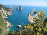 Capri &ndash; &copy; Petra Sauer (Eberhardt TRAVEL)