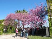 Büffelfarm Vanullo &ndash; &copy; Petra Sauer (Eberhardt TRAVEL)