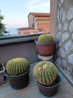 Schwiegermuttersitz &ndash; &copy; Ute Solf (Eberhardt TRAVEL)