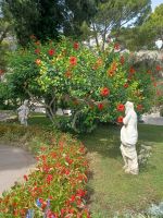 Hibiskus im Augustus -Garten &ndash; &copy; Ute Solf (Eberhardt TRAVEL)